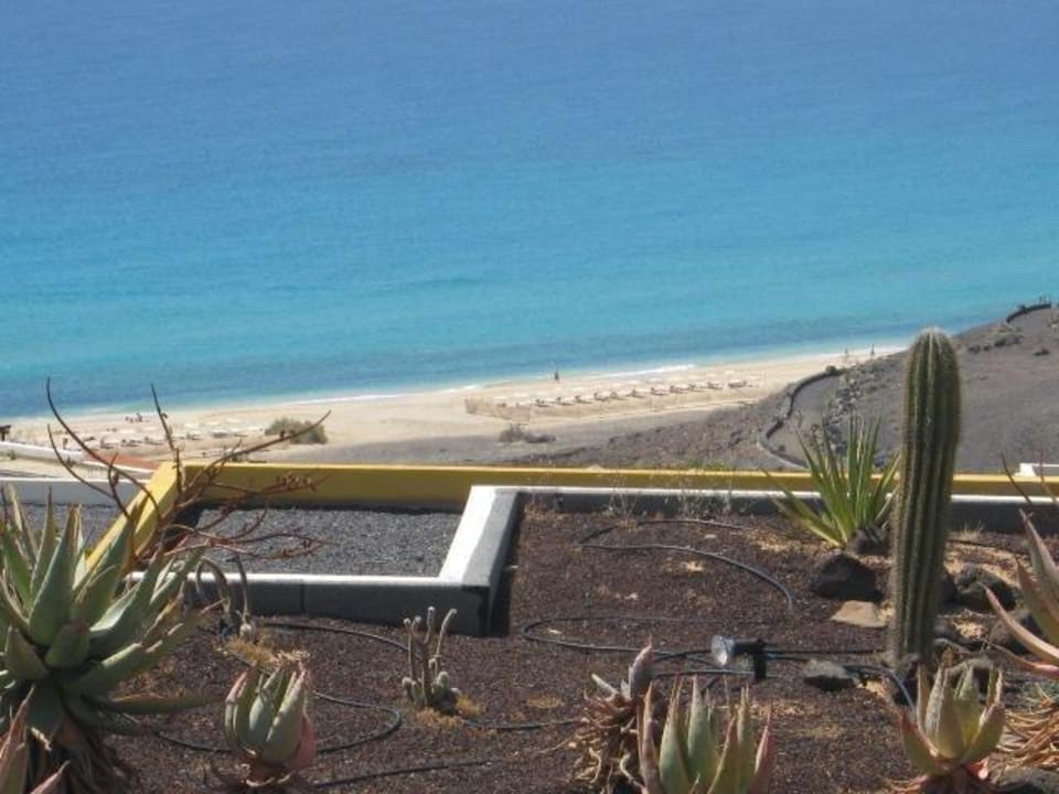 Widok z basenu AluaVillage Fuerteventura