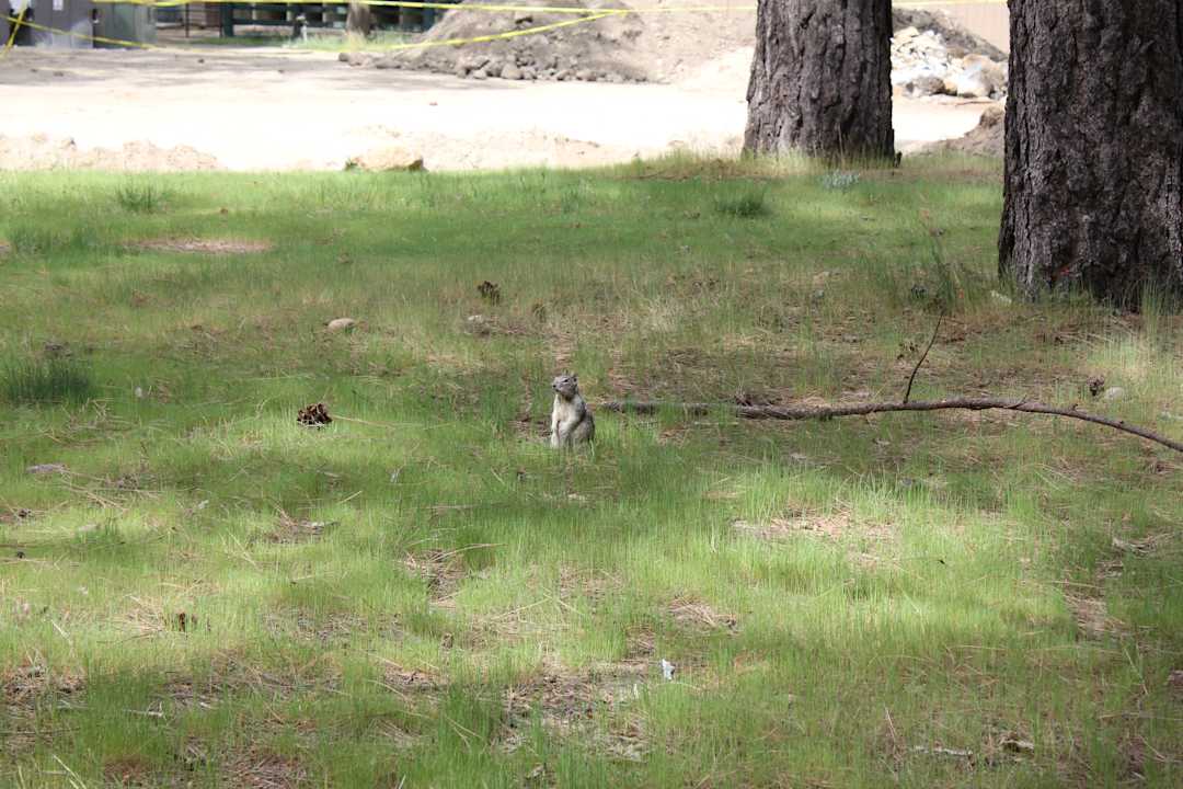 Sonstiges North Pines Campground