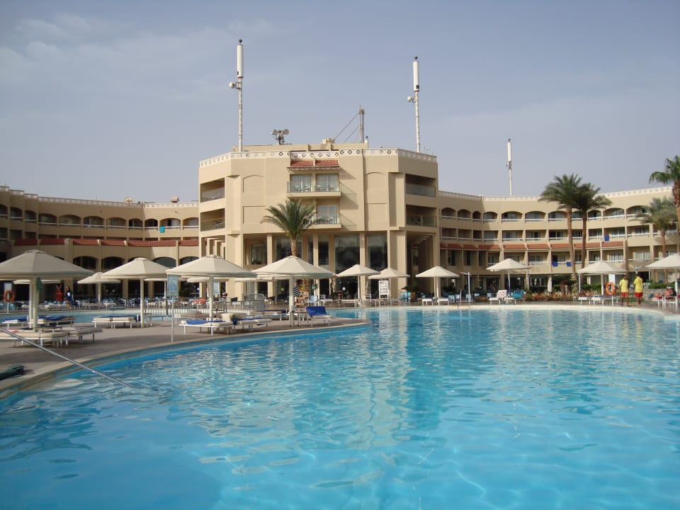 Pool Beach Albatros Resort