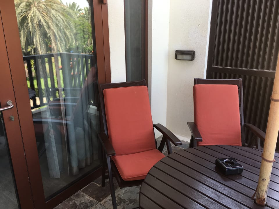 Zimmer JA Palm Tree Court