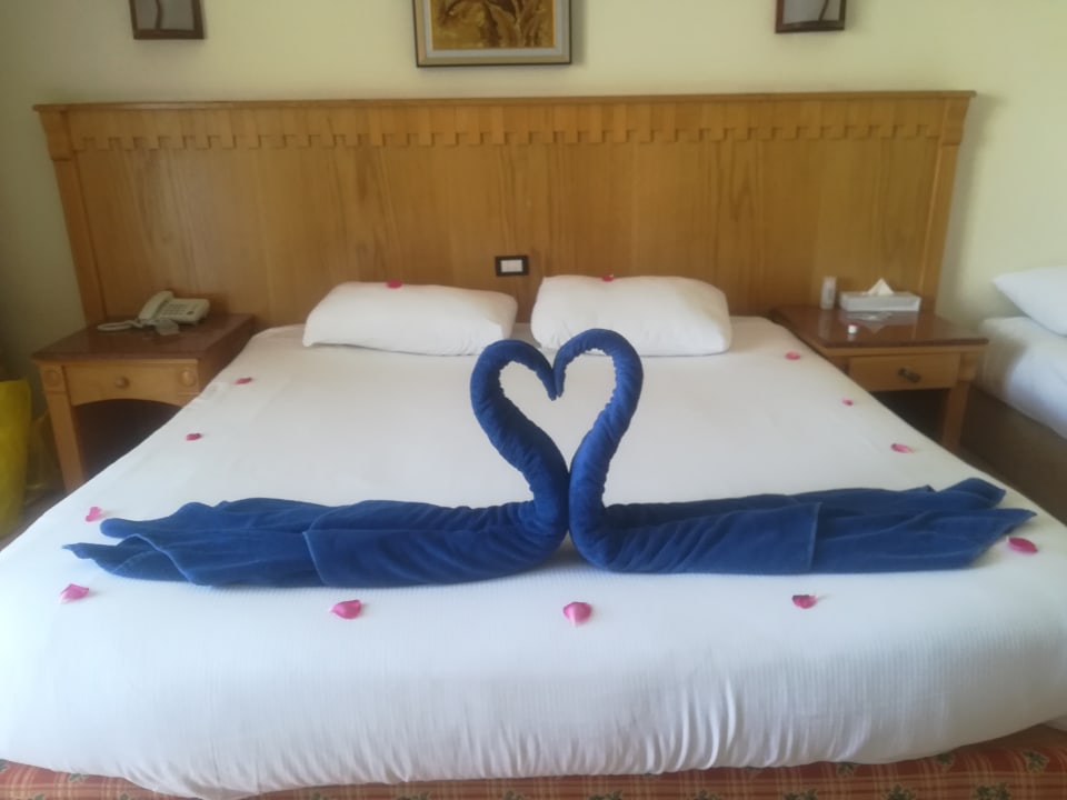 Zimmer Pickalbatros Alf Leila Wa Leila Resort - Neverland Hurghada