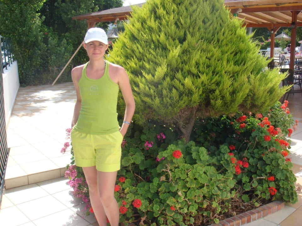 Beautiful Tree Heronissos Hotel