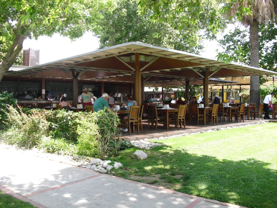 Beach Bar Side Star Elegance