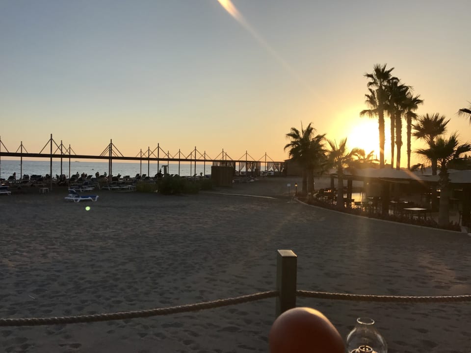 Strand TUI BLUE Palm Garden