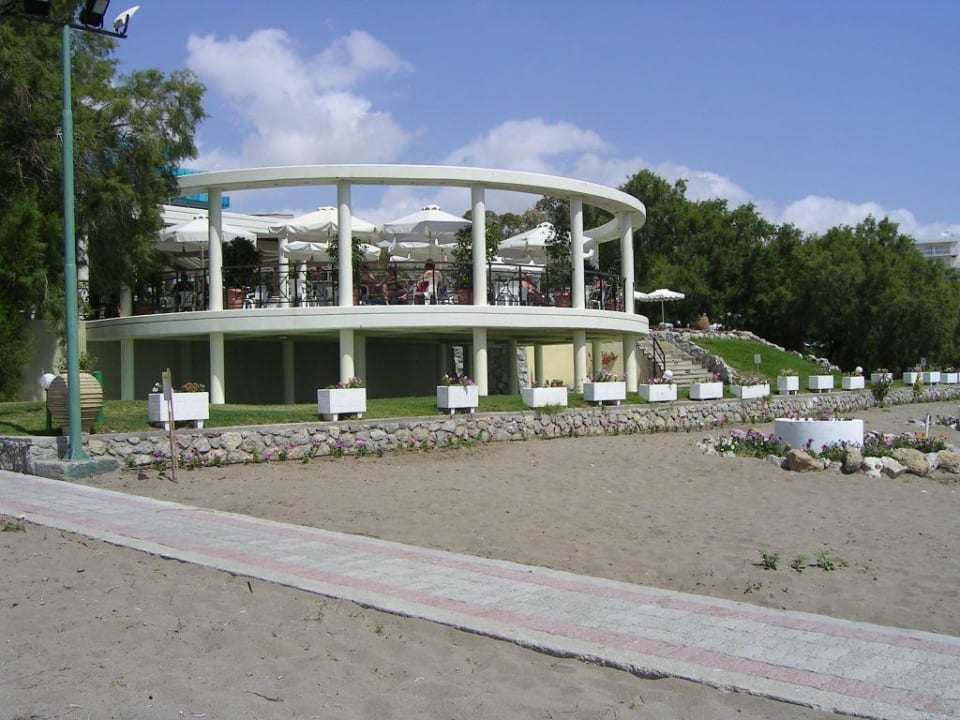 Terrasse bei der Poolbar Hotel Calypso Beach