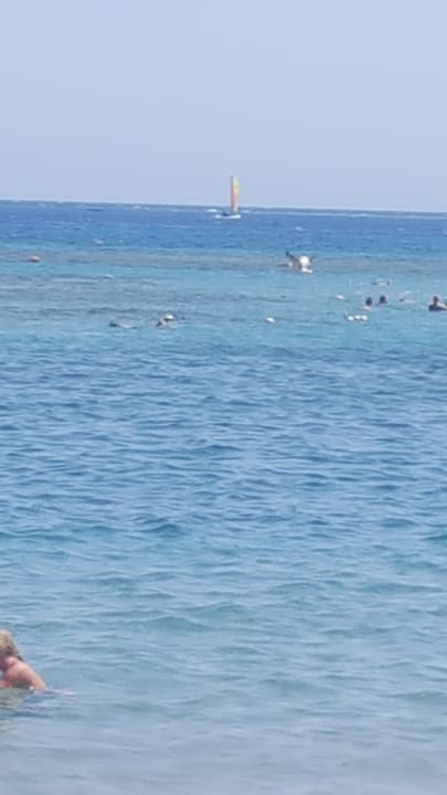Strand Jaz Makadina