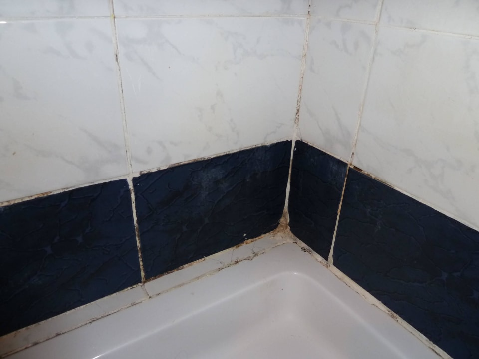 Schimmel in Dusche Desert Rose