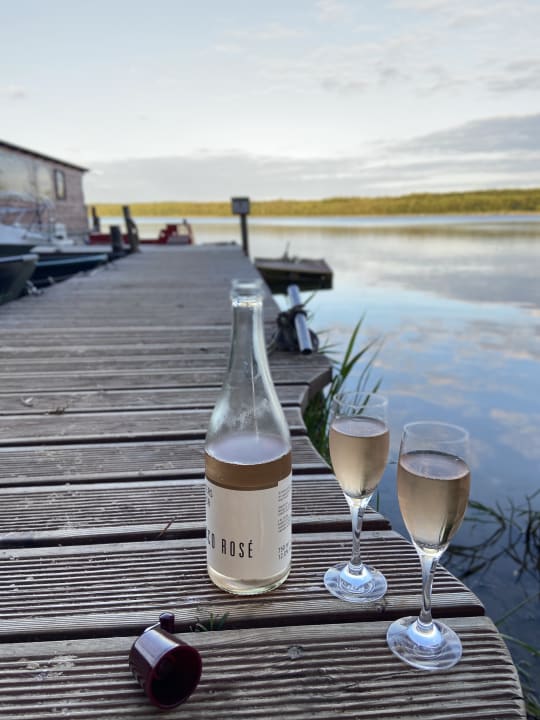 Ausblick Familotel Borchard's Rookhus am See