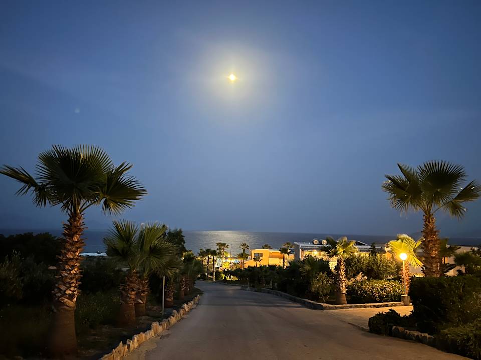 Gartenanlage Grand Blue Beach Hotel