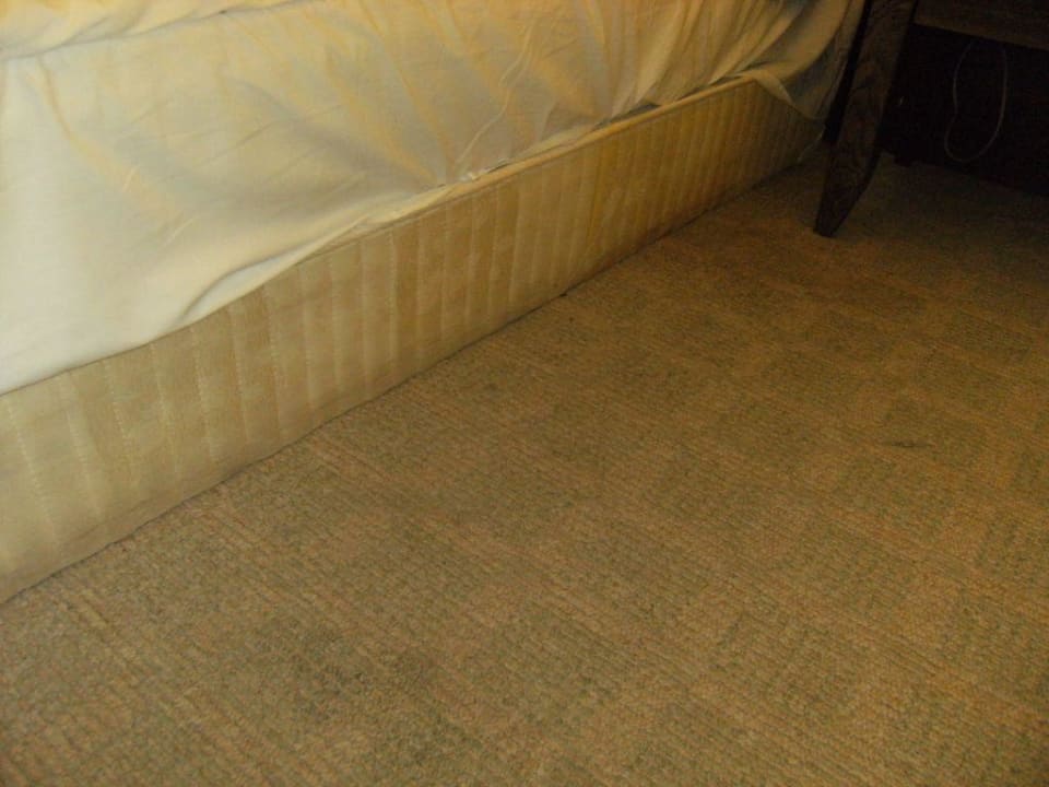 Das Zimmer Hotel Lion Sunny Beach