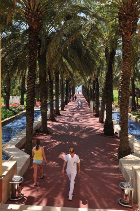Palmenalle vom Strand zum Hotel Monachus Family Resort Sorgun