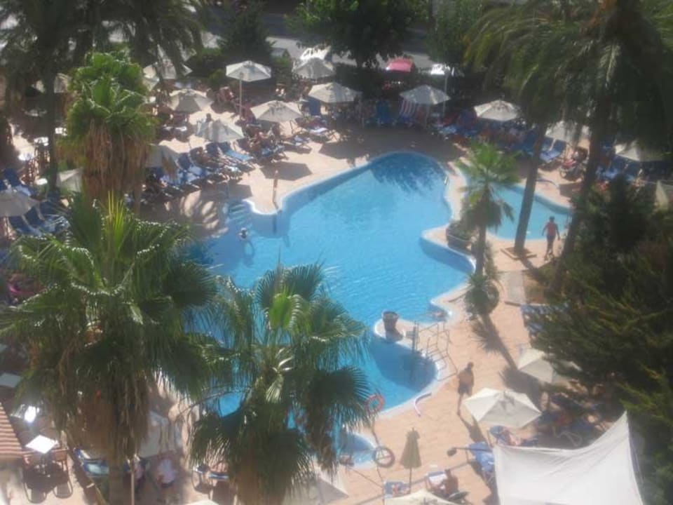 Poolansicht aus dem 8. Stock Valentin Reina Paguera