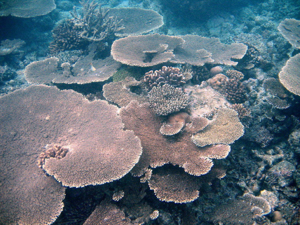 Paradise-Point Sun Siyam Vilu Reef