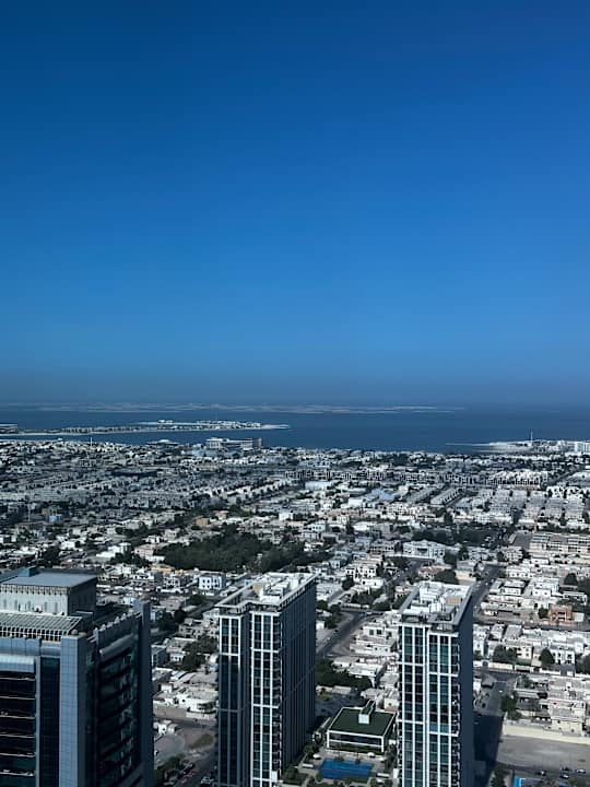 Ausblick Rose Rayhaan by Rotana