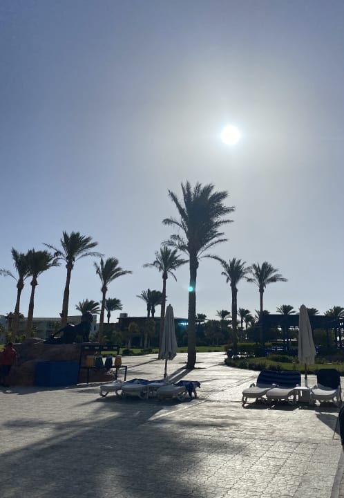 Gartenanlage Palm Royale Resort - Soma Bay