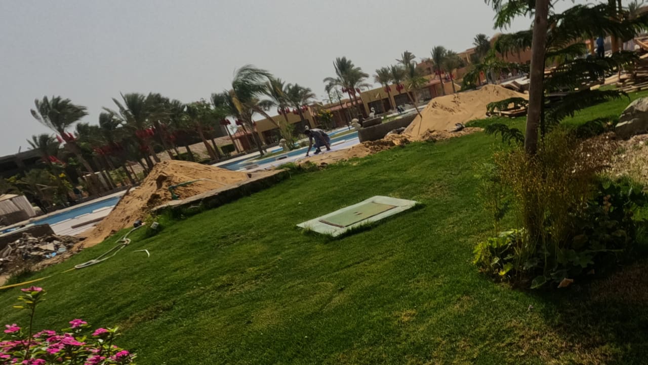 Pool Malikia Resort Abu Dabbab