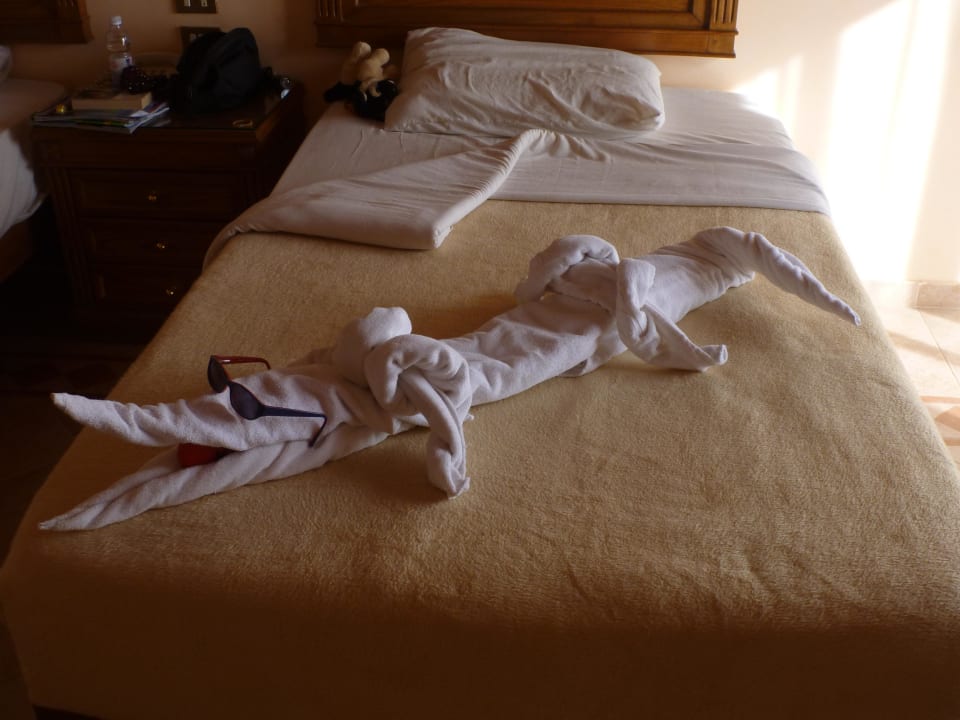 Krokodil Shams Alam Beach Resort