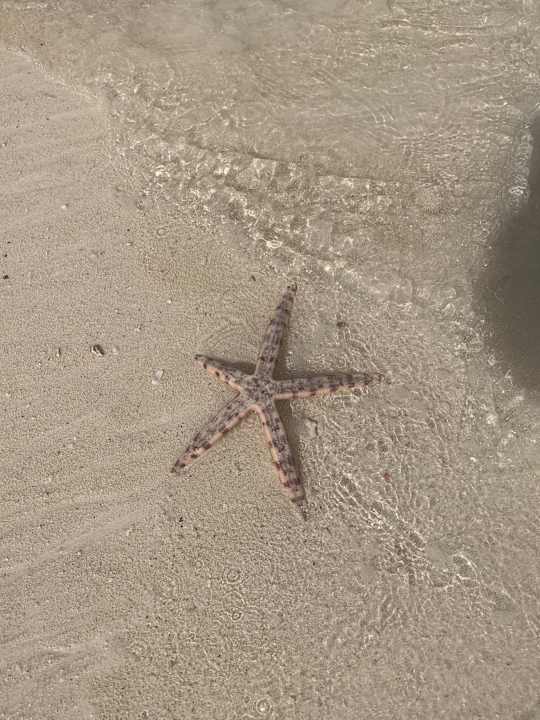 Strand Hotel Riu Palace Zanzibar