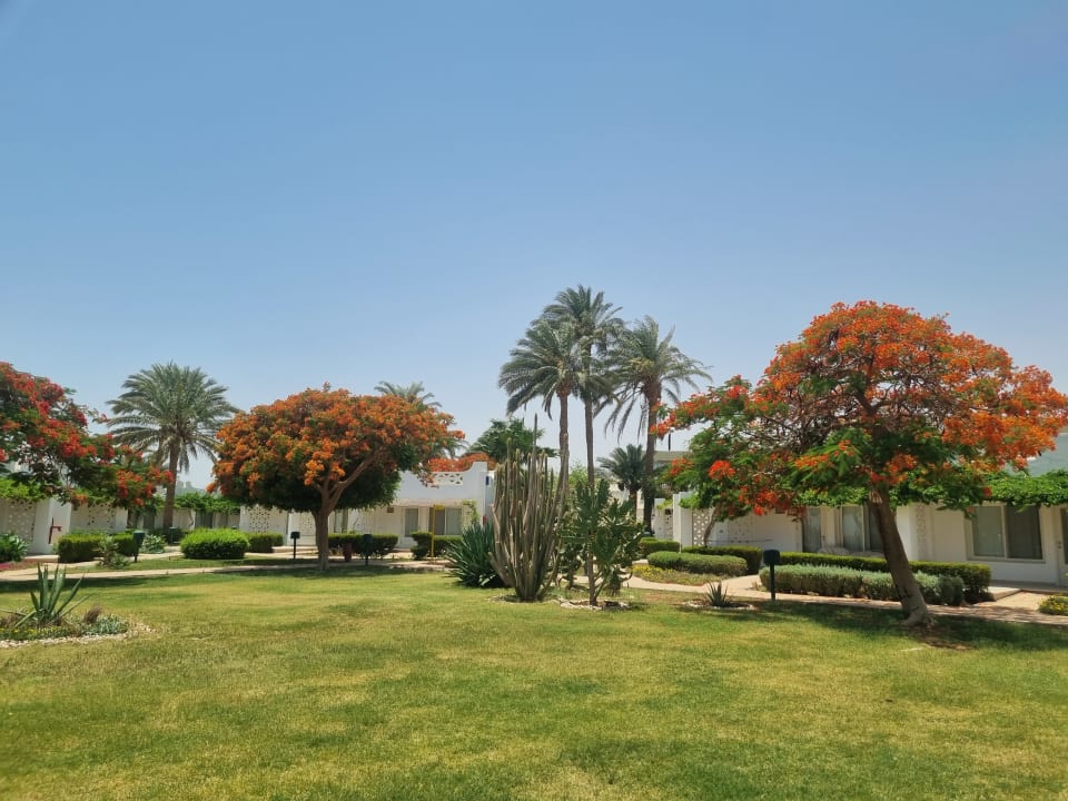 Gartenanlage Shams Safaga Resort