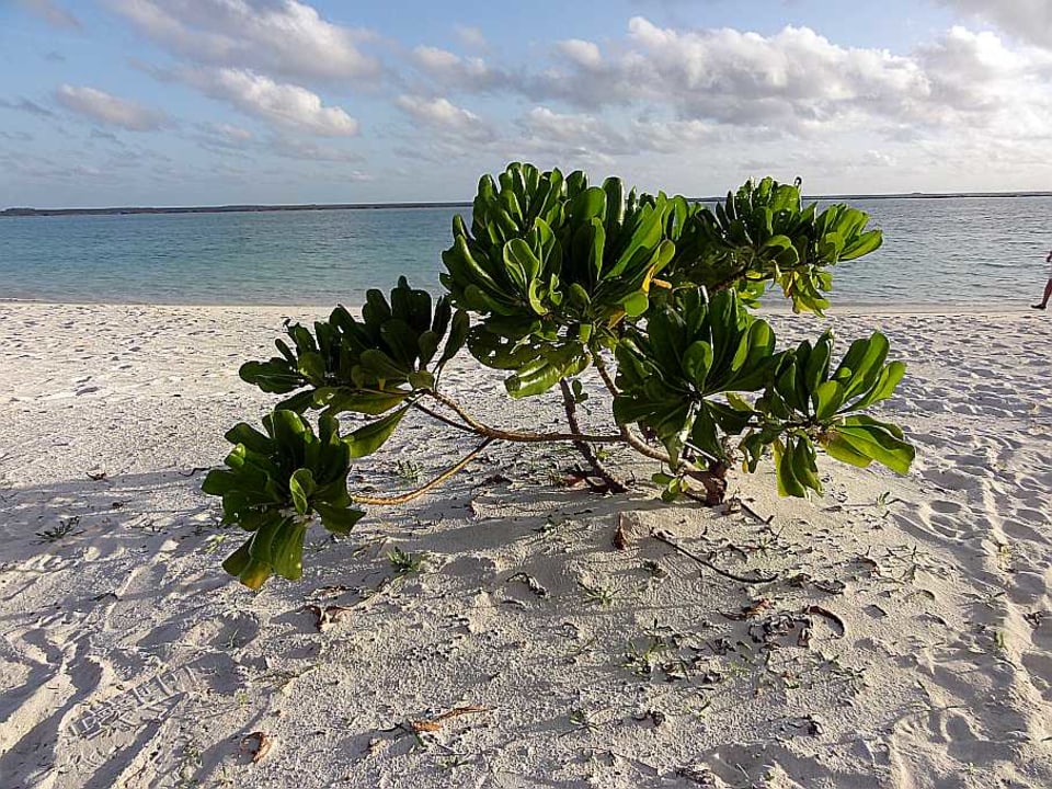 Strand Adaaran Select Meedhupparu Island Resort - Premium All Inclusive