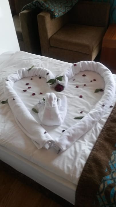 Unsere "Deko" Seaden Sea World Resort & Spa