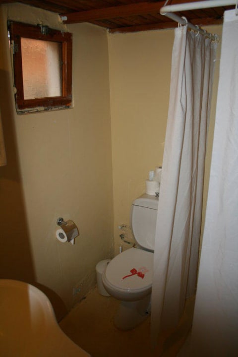 Bad Clover Magic Nova Beach