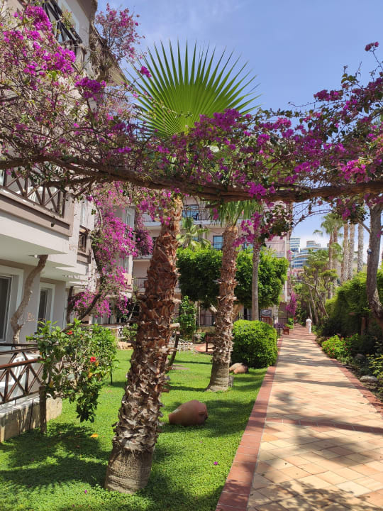 Außenansicht Club Dizalya