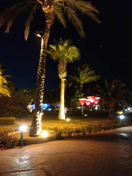 Gartenanlage Desert Rose