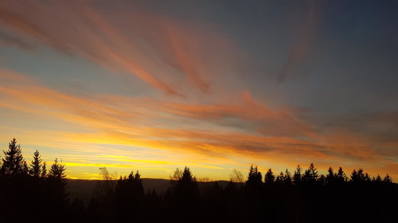 Ausblick Sonnenhotel Hoher Hahn