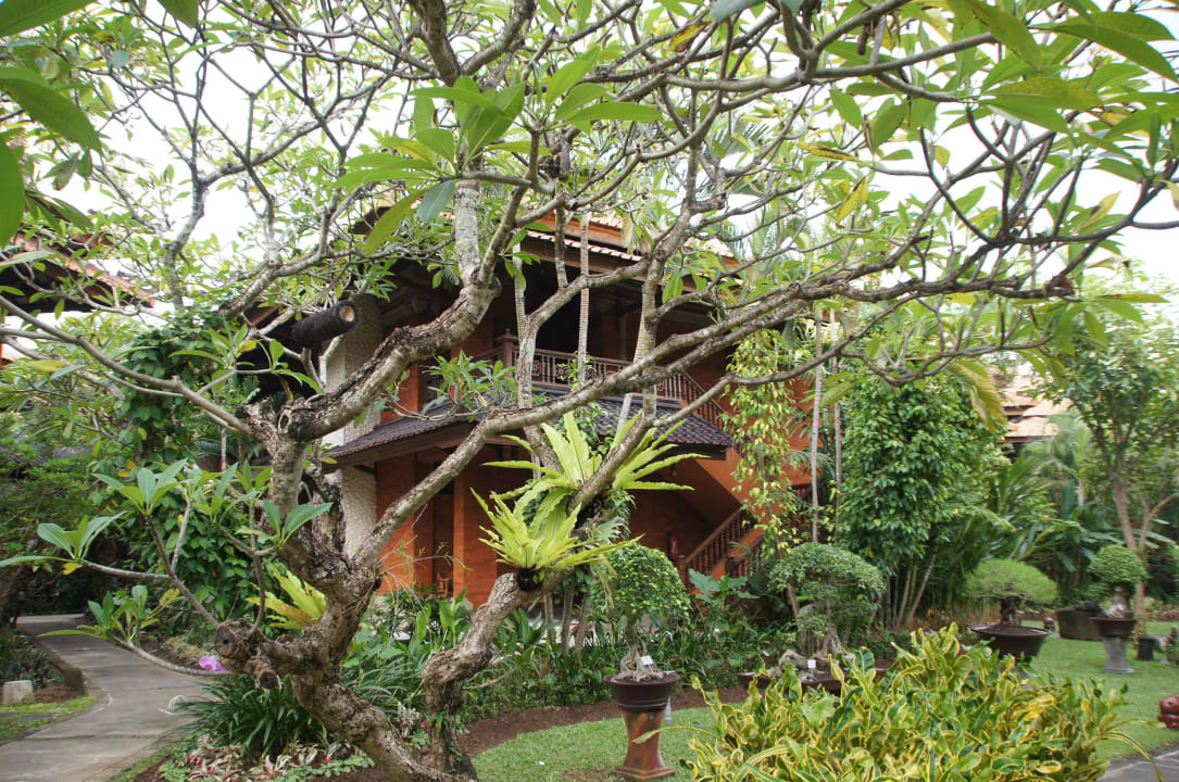 Blick vom Garten aufs Zimmer Hotel Keraton Jimbaran Resort