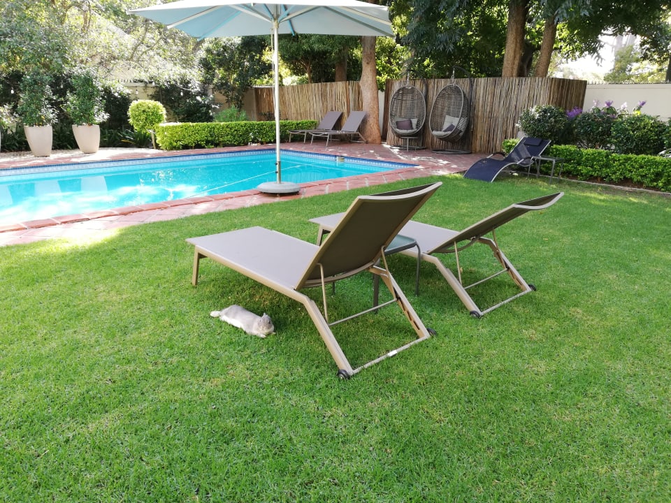 Pool Summerwood Guest House