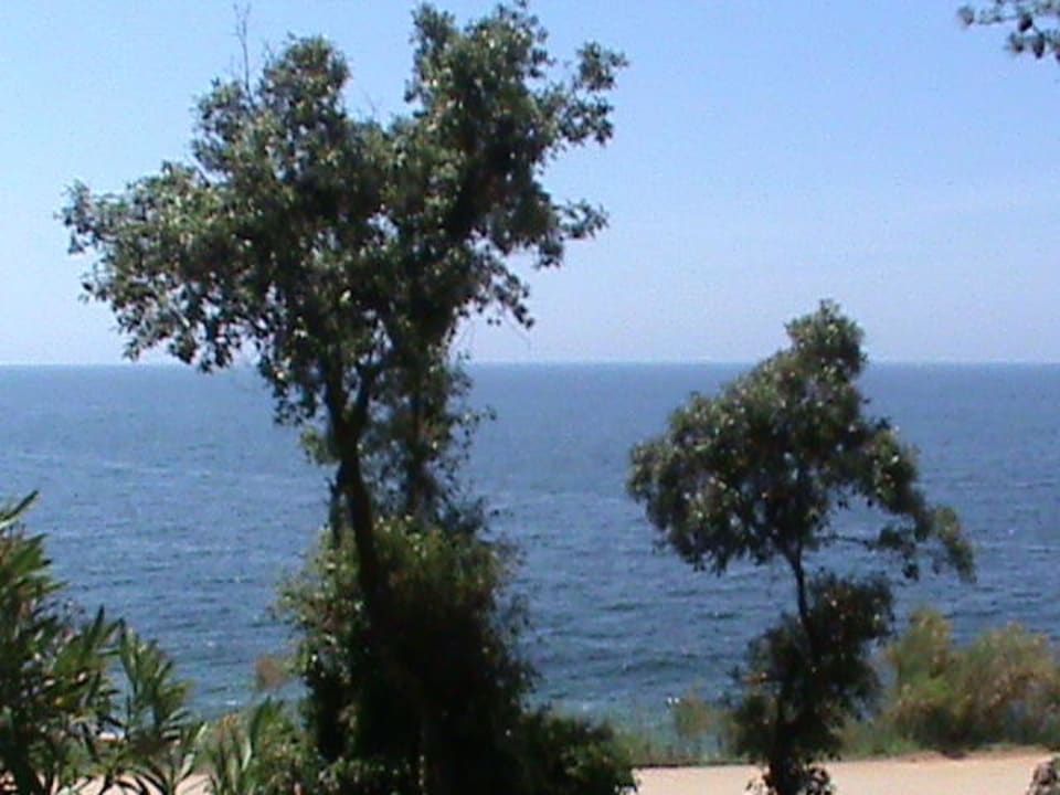 Blick vom Balkon Arena Verudela Beach Resort