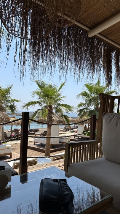 Gastro Rubi Platinum Sign