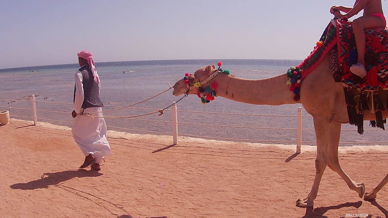 Strand Makadi Spa - Adults only