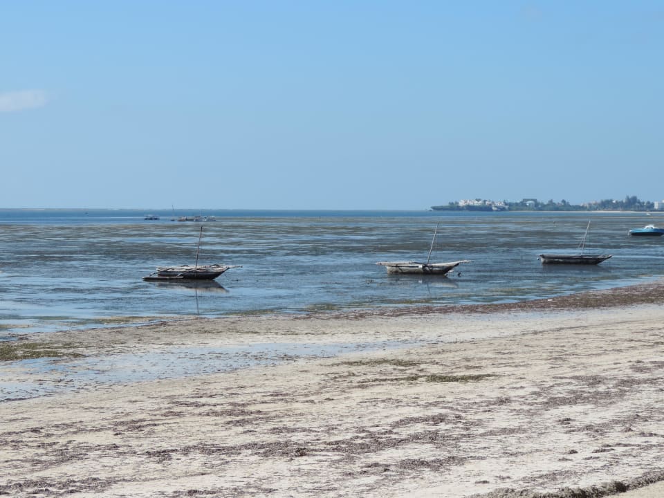Ebbe mach eine fahrt mit dem Einbaum das wird toll Neptune Beach Resort
