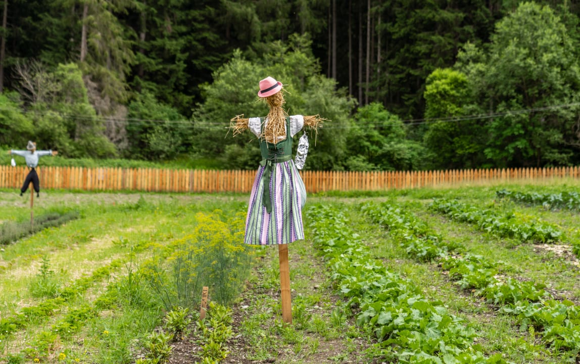 Gartenanlage FONTIS luxury spa lodge