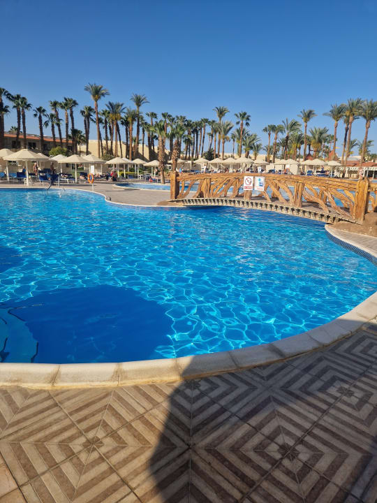 Pool Beach Albatros Resort