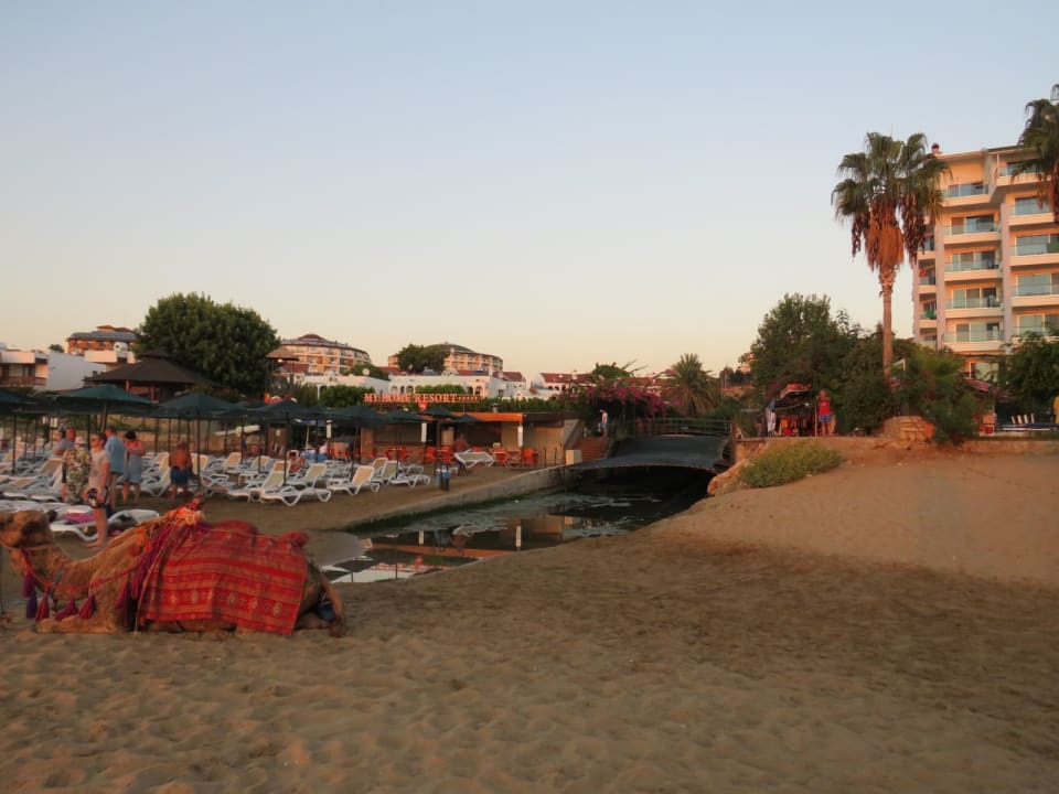 Strand My Home Resort