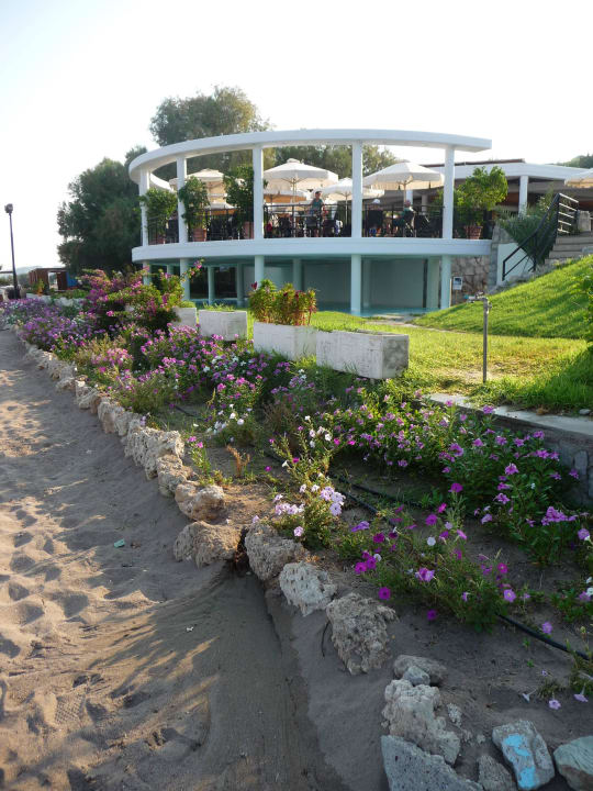 Strandbar Hotel Calypso Beach