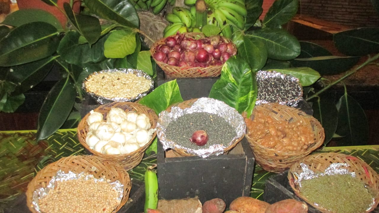 Gastro Neptune Paradise Beach Resort & Spa