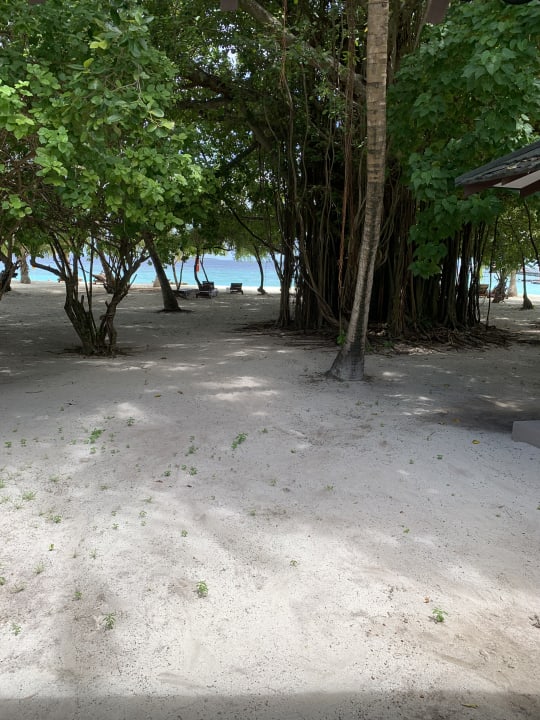 Strand Adaaran Select Meedhupparu Island Resort - Premium All Inclusive