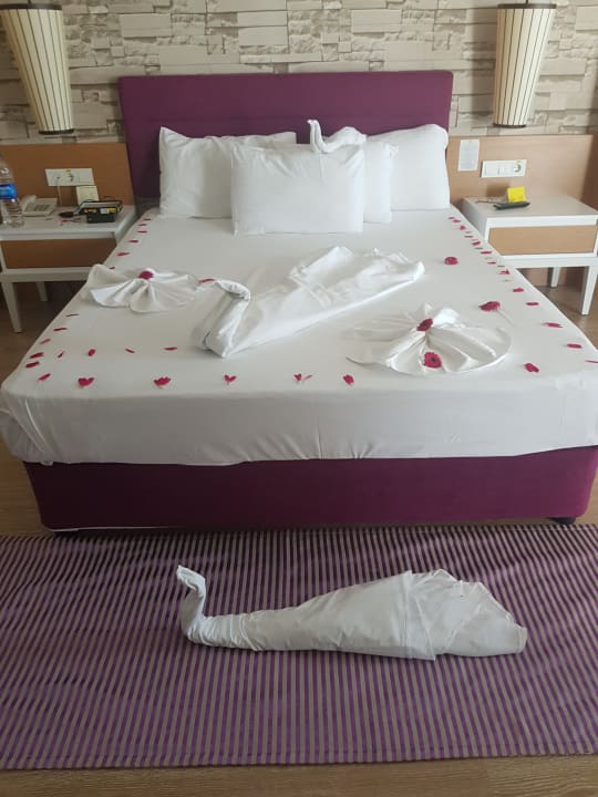 Zimmer TUI MAGIC LIFE Jacaranda