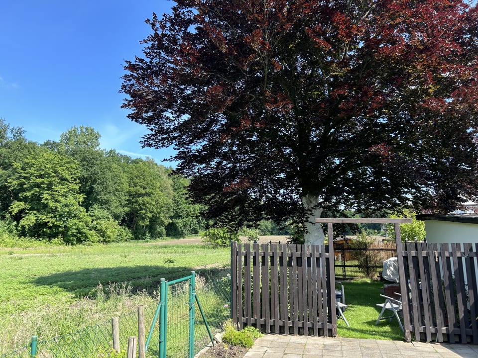 Gartenanlage Ferienwohnung Winzenburg in der Nähe vom Steinhuder Meer und Dinopark Münchehagen