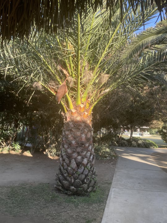 Gartenanlage Aqua Fantasy Aquapark Hotel & Spa