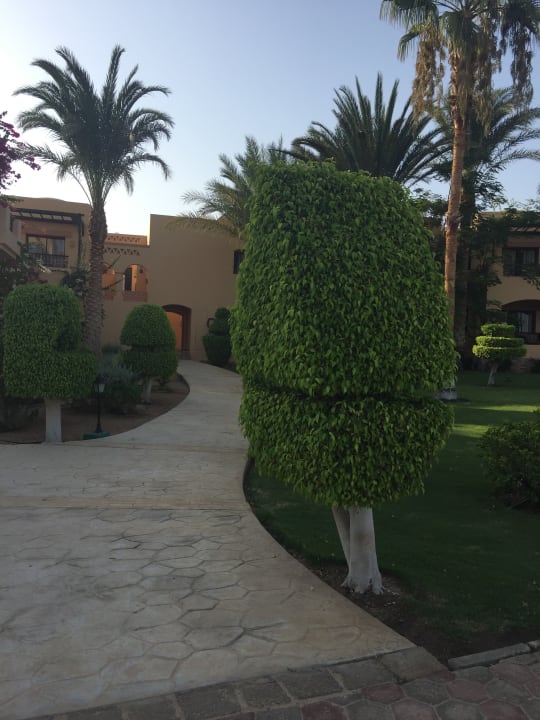 Gartenanlage Steigenberger Coraya Beach - Adults only