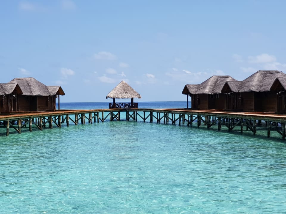 Strand Fihalhohi Maldives