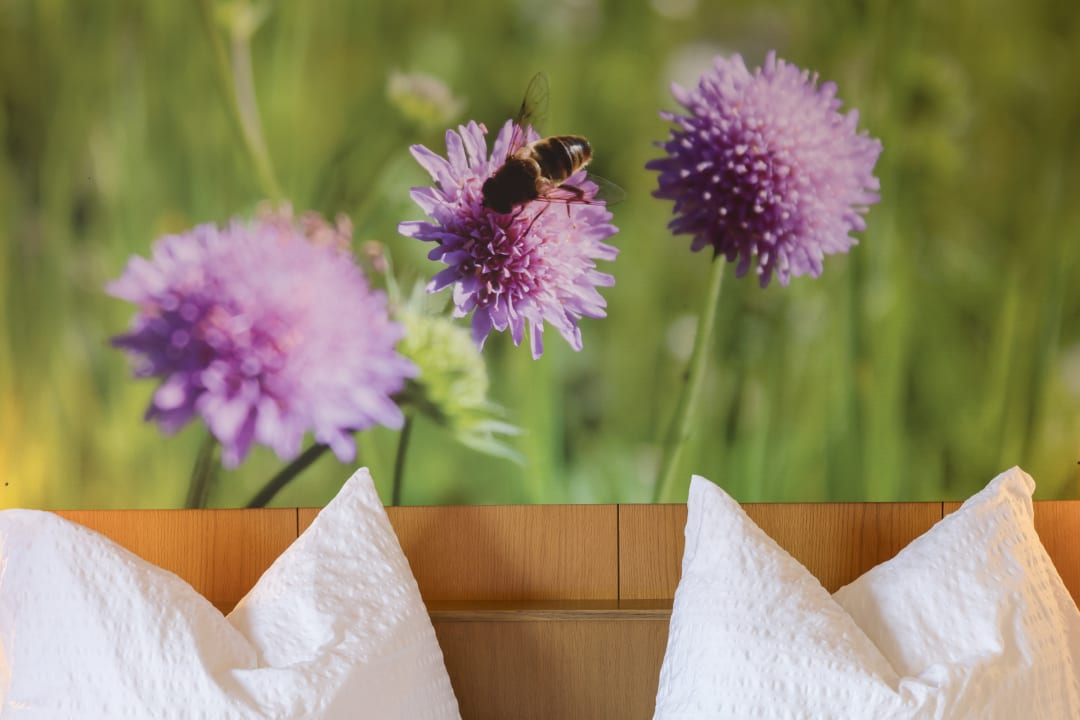 Zimmer Garni Thaler Hof