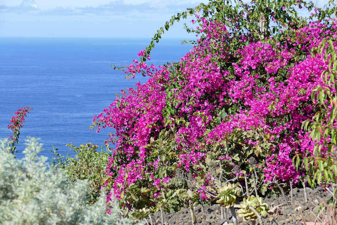 Gartenanlage Jardin Mariposa Retreat- und Seminarzentrum