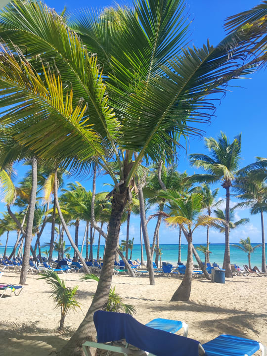 Strand Hotel Riu Palace Punta Cana