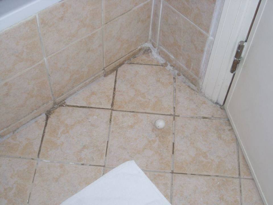 Schimmlige & schmutzige Fugen im Bad Ghazala Gardens